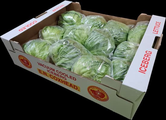 Lettuce box