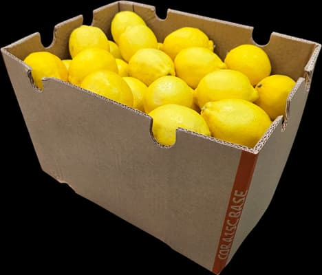 Lemon box