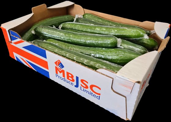 Cucumbers