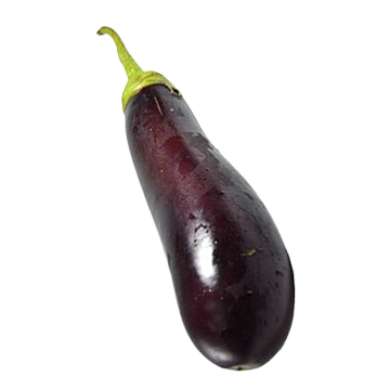 Aubergine
