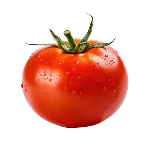 Tomato